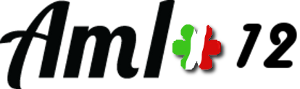 logo AMI2012